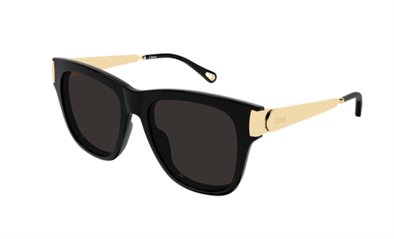 Occhiali da sole Chloé Donna CH0349S - CH0349S